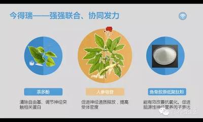 腦健康-今得瑞:擁有健康大腦才有幸福生活